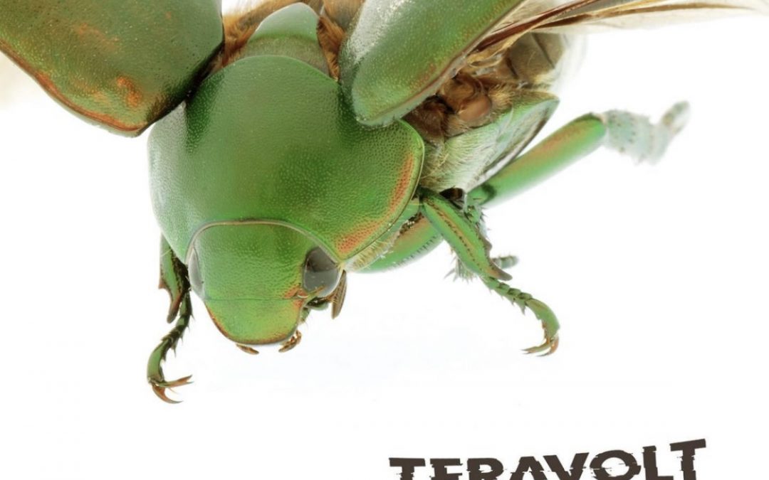 Teravolt’s New Album